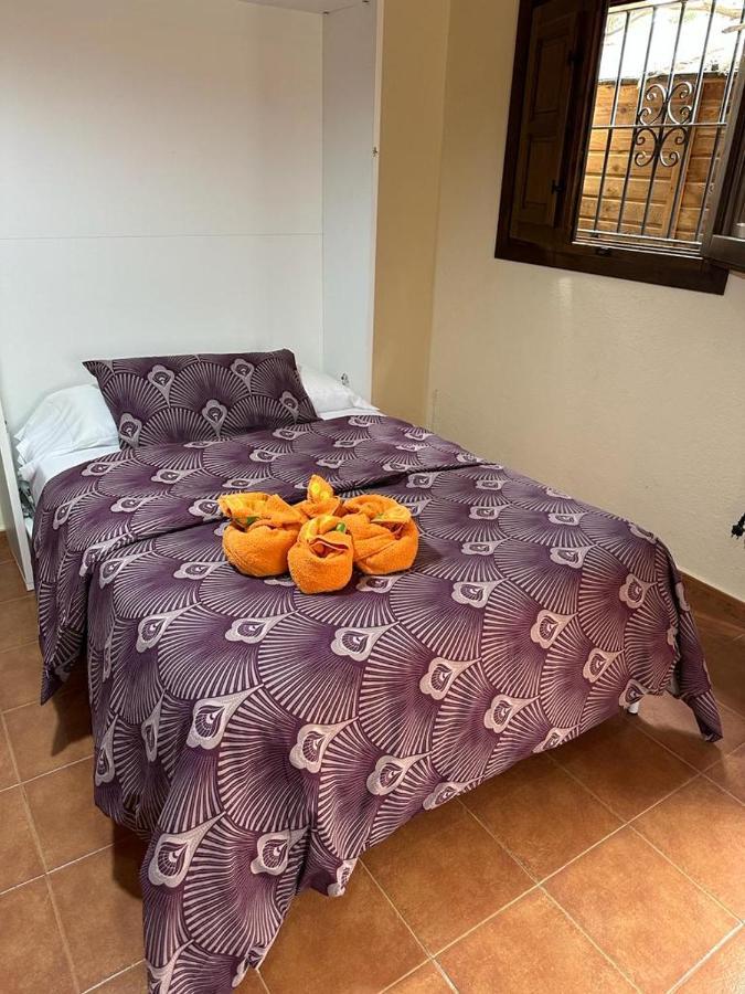 Casa El Sotillo Bajo المرية المظهر الخارجي الصورة
